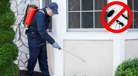 Bekilli Bit İlaçlama böcek ilaçlama ve haşere kontrolü — ilaclama-tr.com